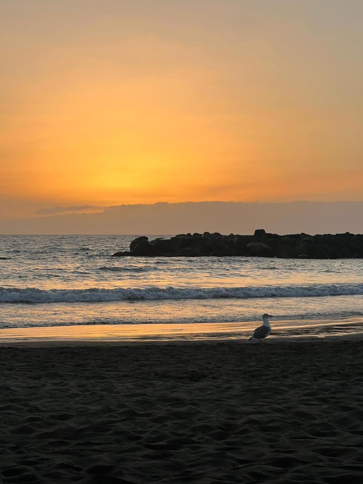 Apartamento En Primera Linea De Playa, Centrico, Tranquilo Playa de las Americas  Eksteriør bilde